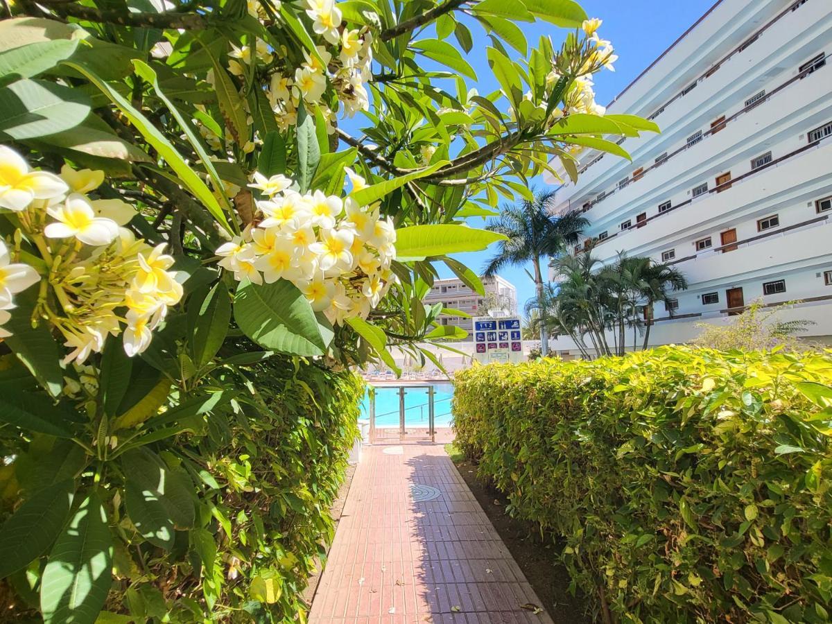 Las Camelias Apartments Playa del Ingles  Luaran gambar