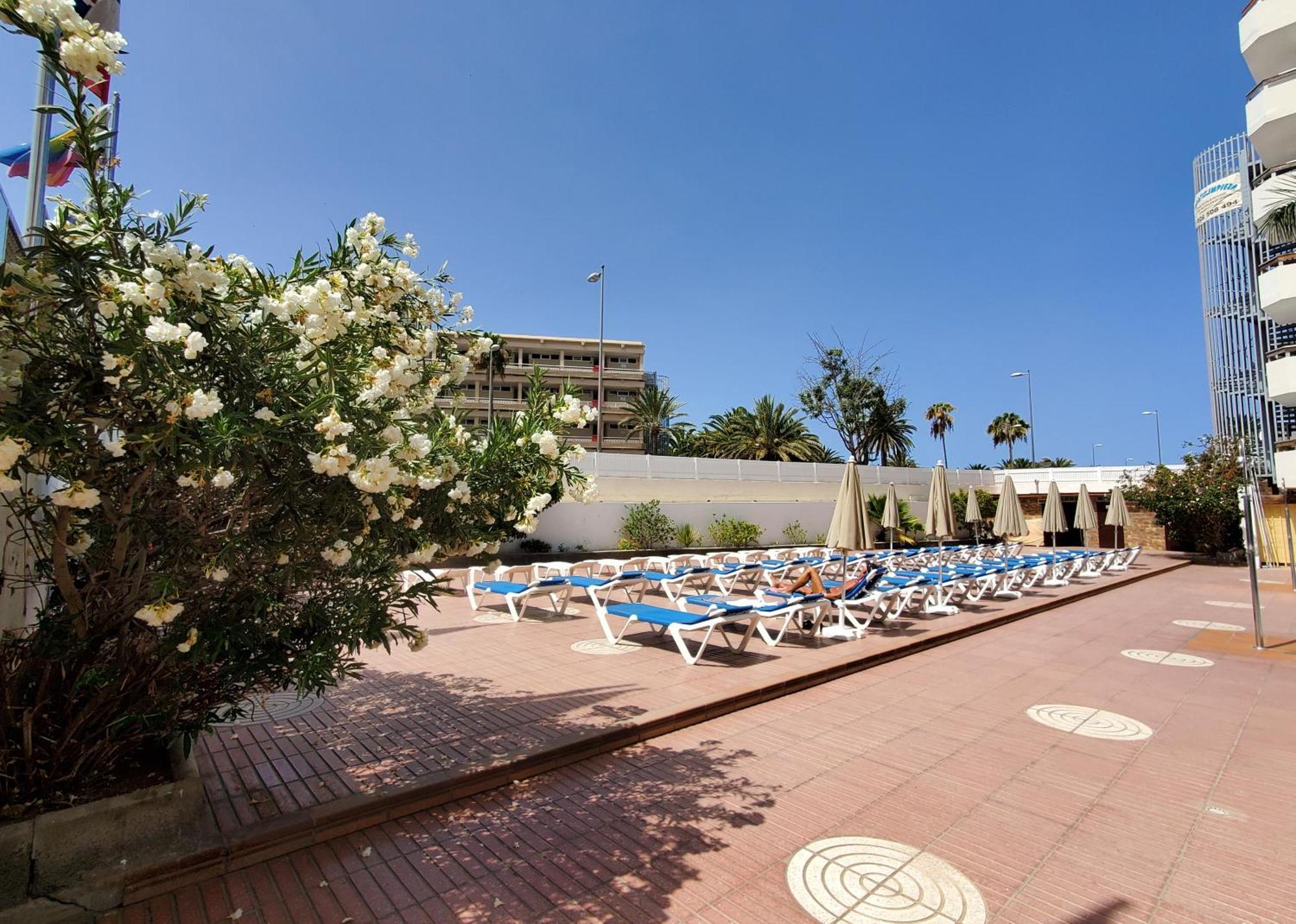Las Camelias Apartments Playa del Ingles  Luaran gambar